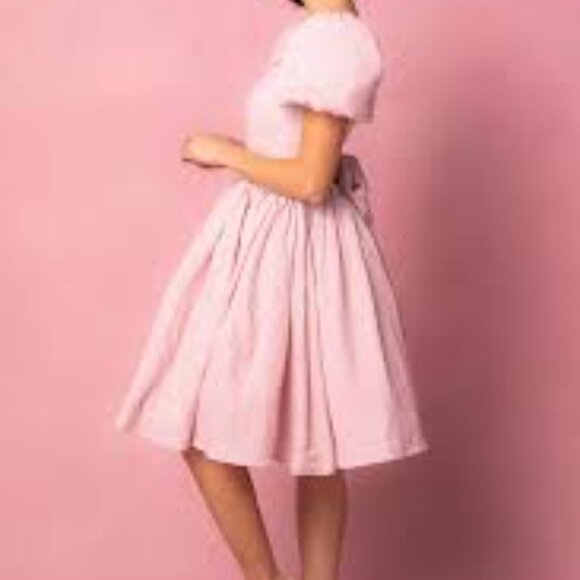 Ivy City Co Cupcake Dress in Pink Stripe 22W NWT - Picture 2 of 5